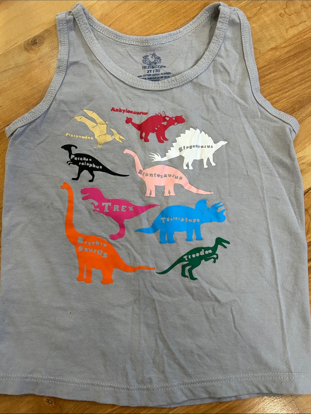 Fruit of the Loom Light Gray Dinosaur Tank Top with Multicolor Prints 2T/3T